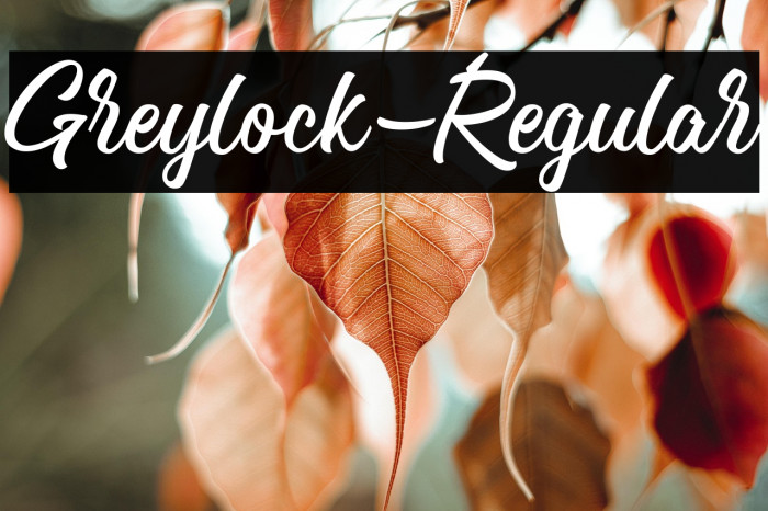 Greylock-Regular Example 1