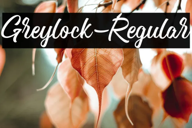 Greylock-Regular Example 1