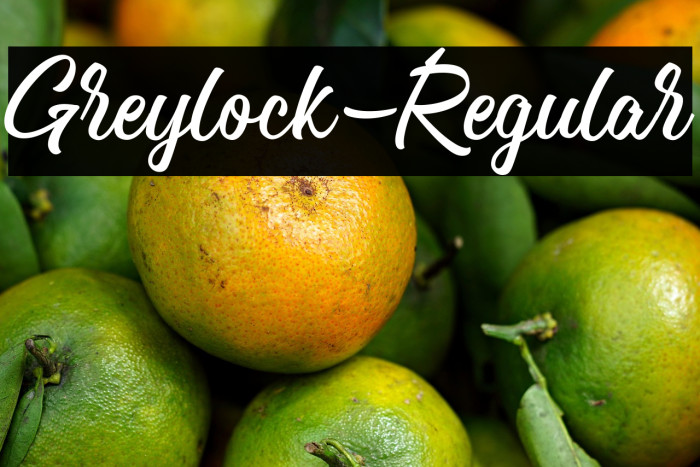 Greylock-Regular Example 3