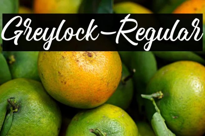 Greylock-Regular Example 3