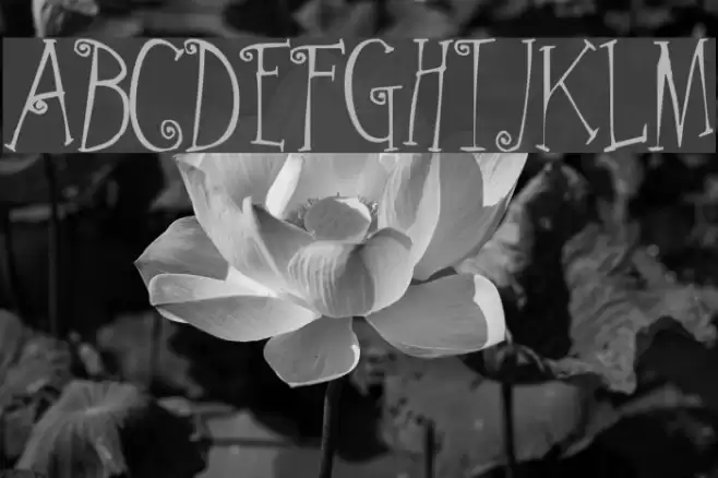 Greywolf Quirk Font examples