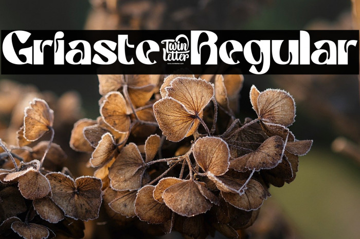 Griaste-Regular Example 1