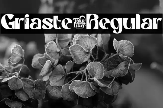 Griaste-Regular Font examples