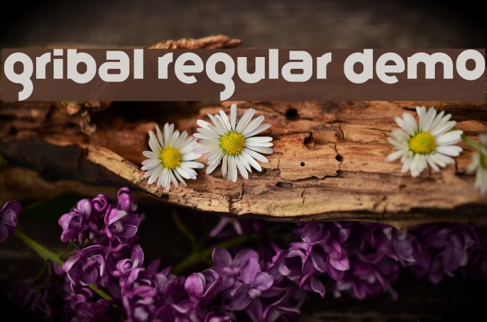 Gribal Regular Demo Fonte examples