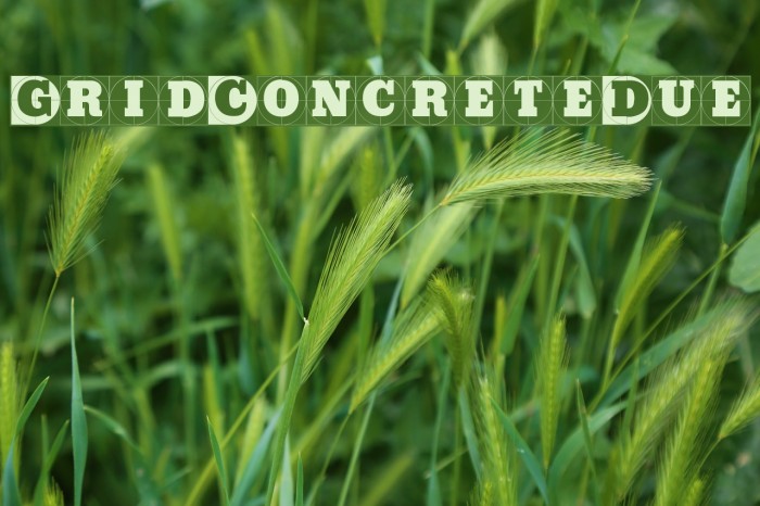 GridConcreteDue Font examples