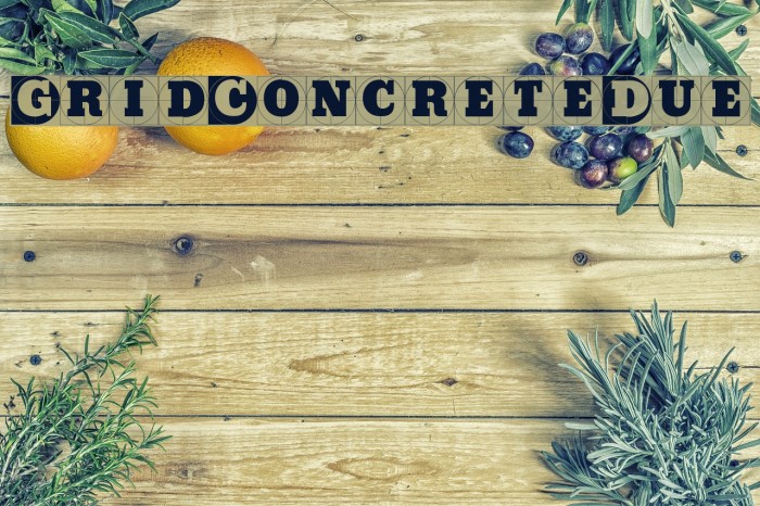 GridConcreteDue Font examples