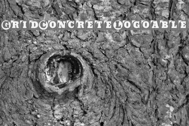 GridConcreteLogoable Шрифта examples