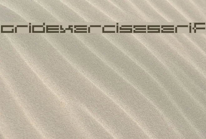GridExerciseSerif Example 2