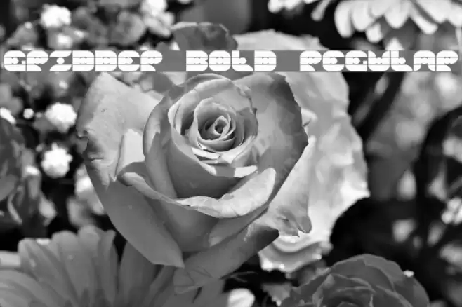 Gridder Bold Regular Font examples