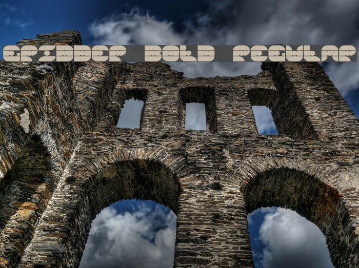 Gridder Bold Regular Example 3