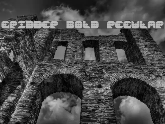 Gridder Bold Regular Font examples