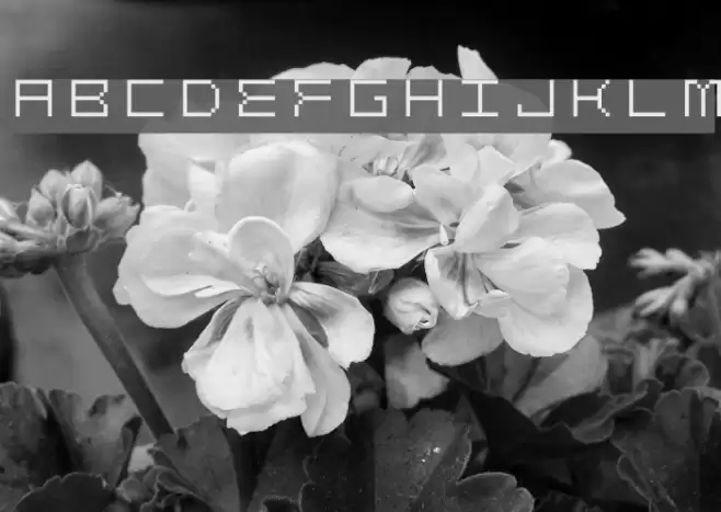 Gridder OFF Font examples