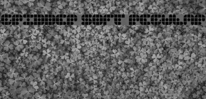 Gridder Soft Regular Font examples