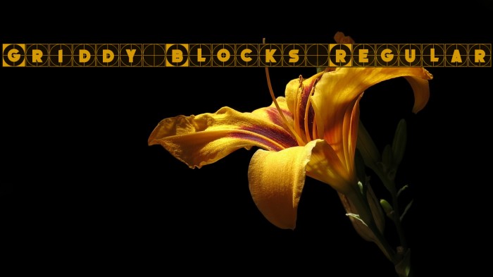 Griddy Blocks Regular Font examples