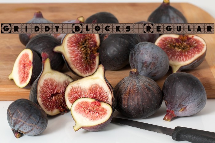 Griddy Blocks Regular Font examples