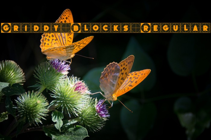 Griddy Blocks Regular Font examples