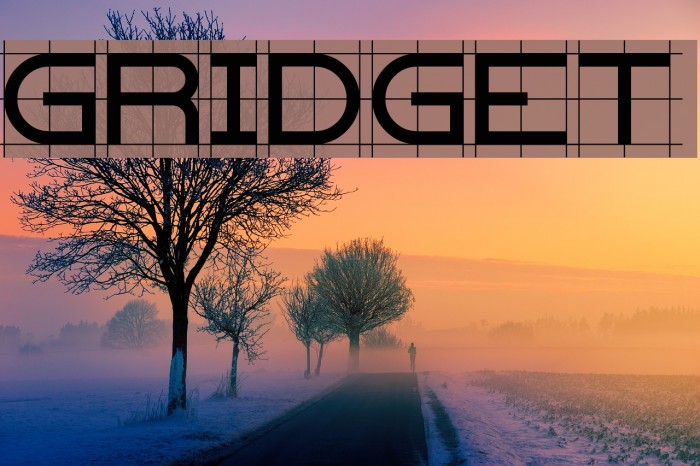Gridget Font examples