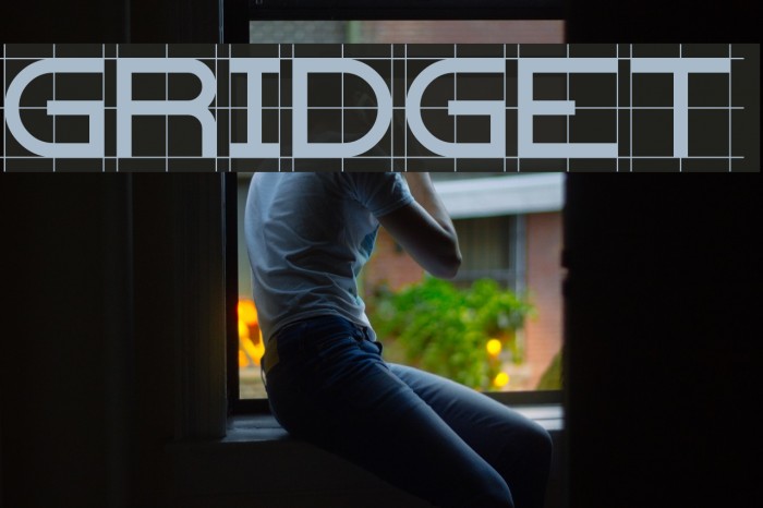 Gridget Font examples