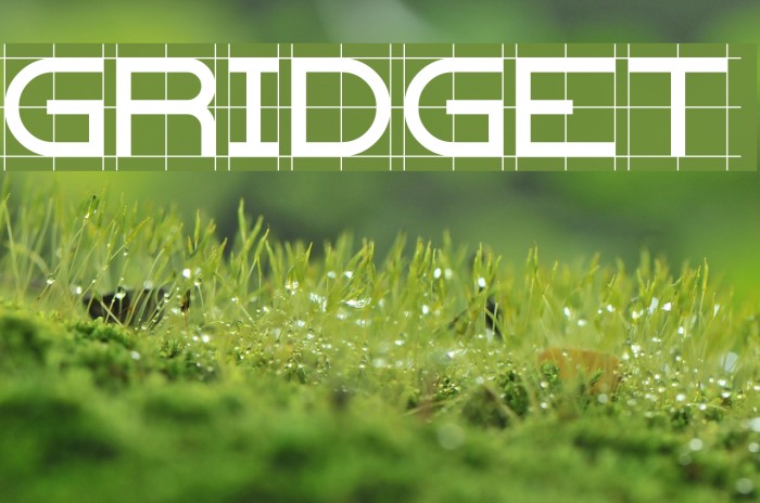 Gridget Font examples