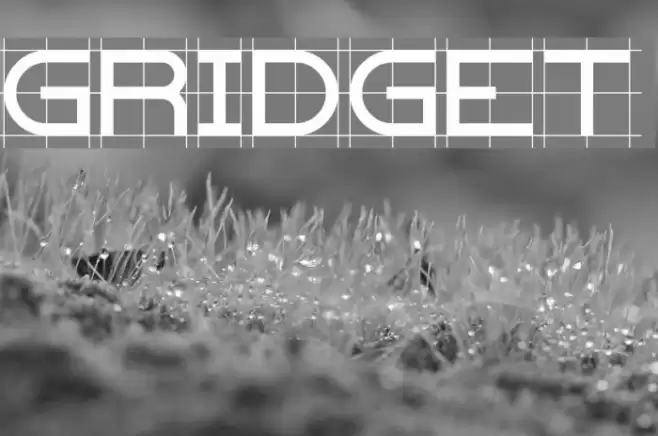 Gridget Schriftart examples