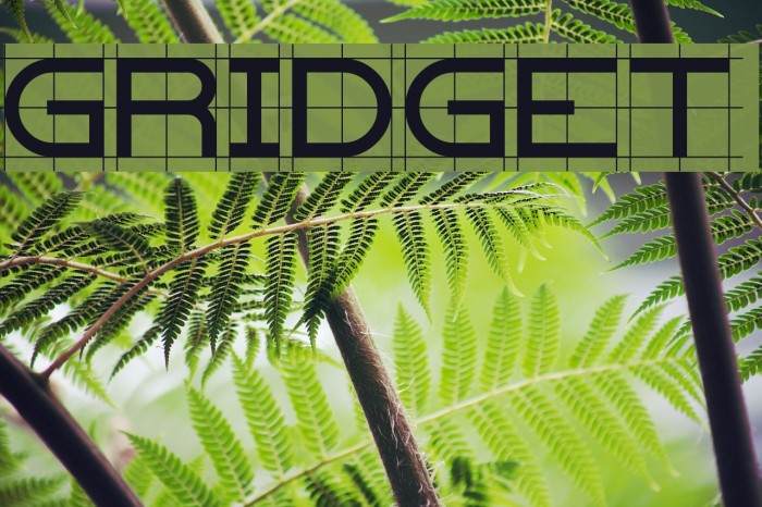 Gridget Font examples