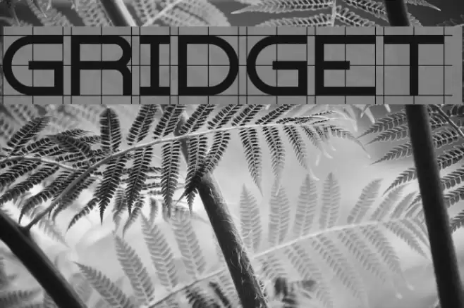 Gridget Schriftart examples