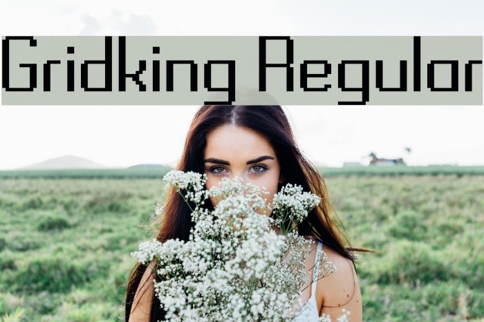 Gridking Regular Font examples