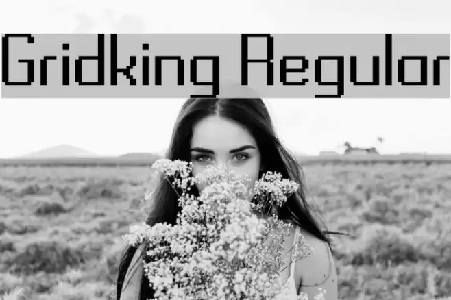 Gridking Regular Шрифта examples