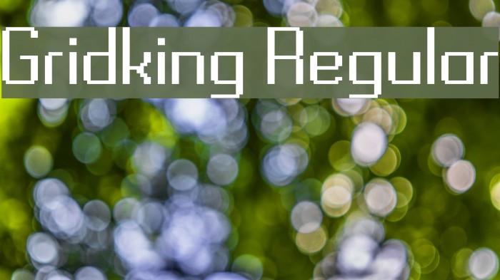 Gridking Regular Font examples