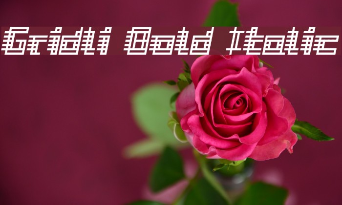 Gridli Bold Italic Font examples