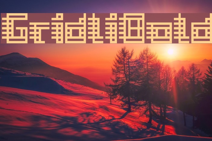 GridliBold Polices examples