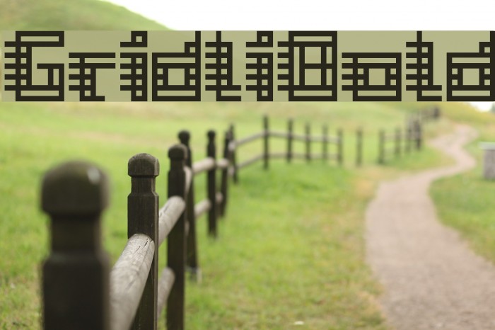 GridliBold Polices examples