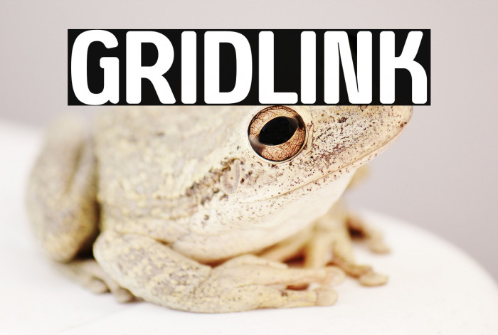 Gridlink Example 1