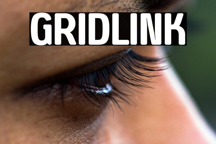 Gridlink Example 2