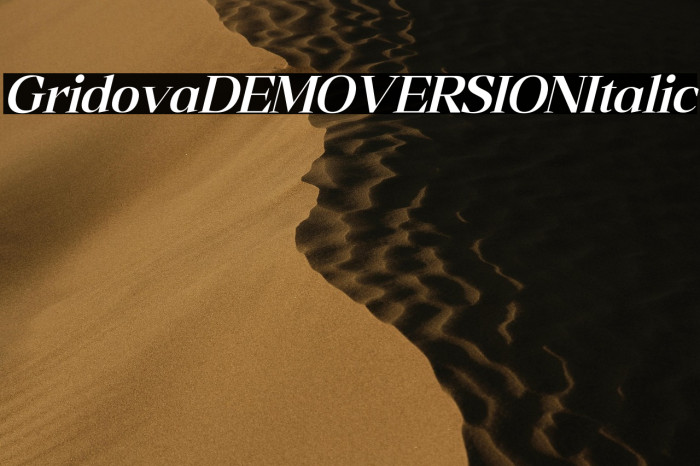 Gridova DEMO VERSION Italic Example 1
