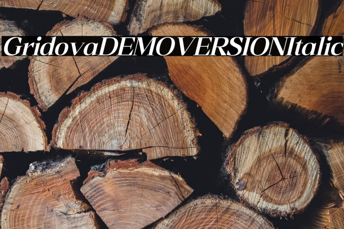 Gridova DEMO VERSION Italic Example 2