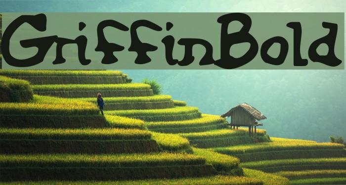 GriffinBold Font examples