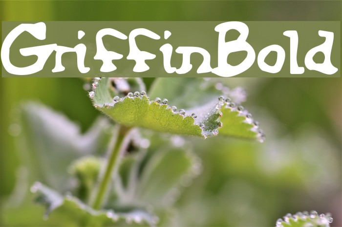 GriffinBold Font examples