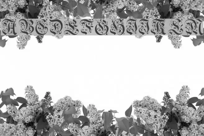 GriffinDingbats Medium Font examples