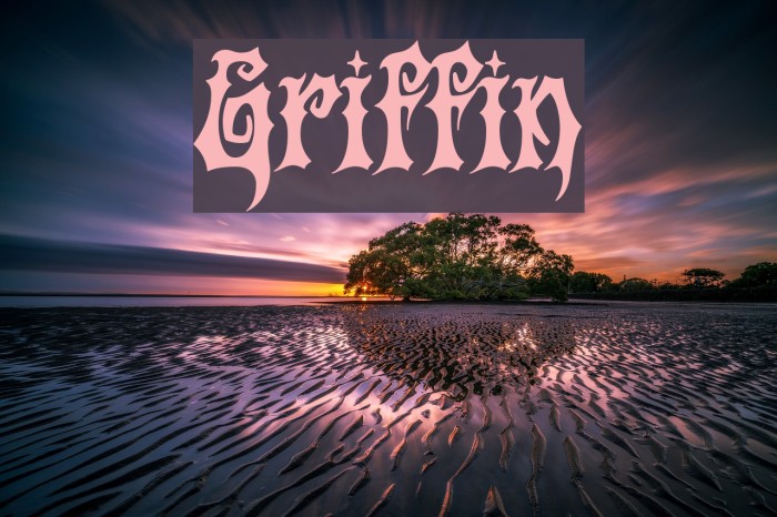 Griffin Font examples