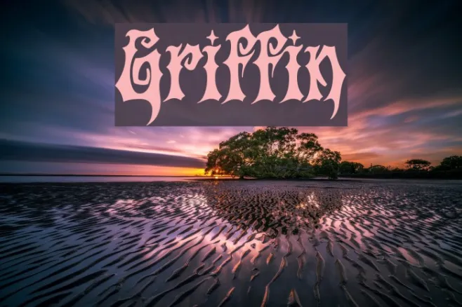 Griffin Example 1