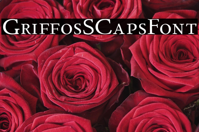GriffosSCapsFont Example 1