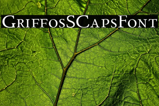 GriffosSCapsFont Example 3