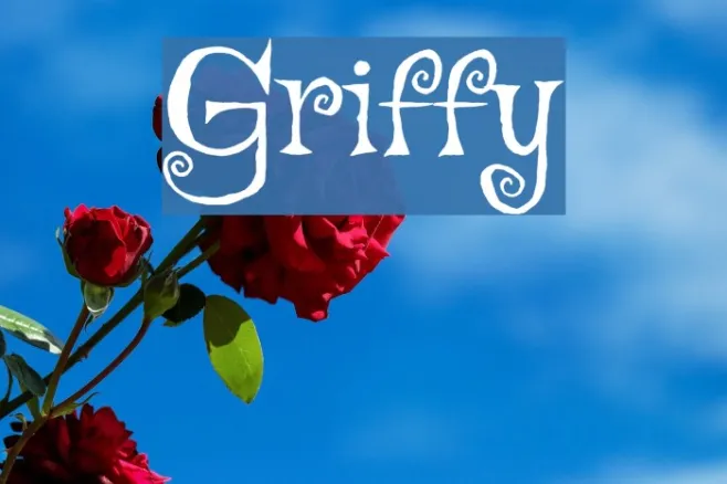 Griffy Example 2