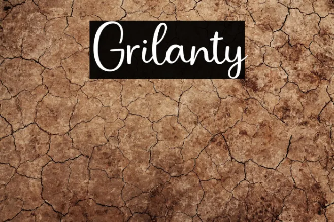Grilanty Example 1