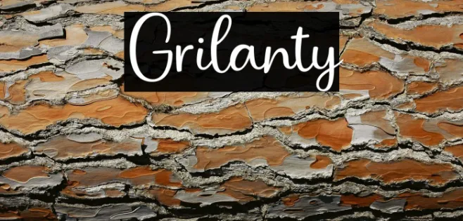 Grilanty Example 2