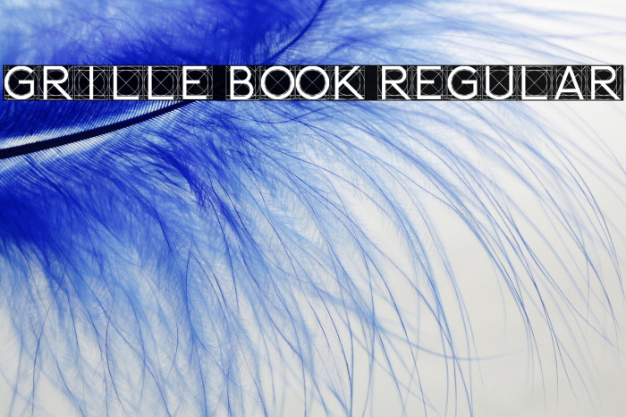 Grille Book Regular Example 3