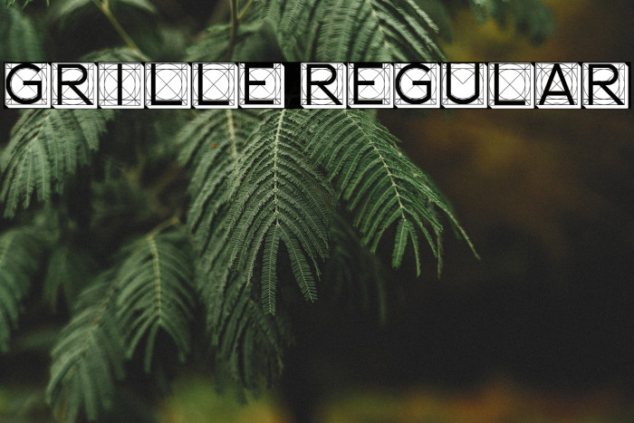 Grille Regular Example 2