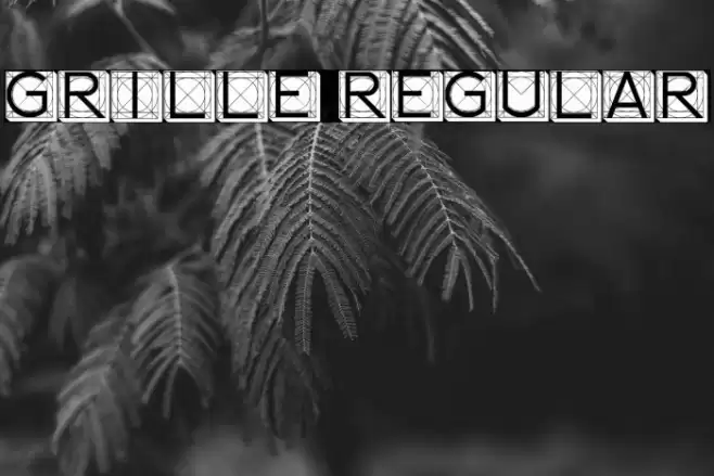 Grille Regular Font examples