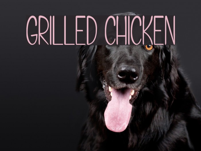 Grilled Chicken Font examples